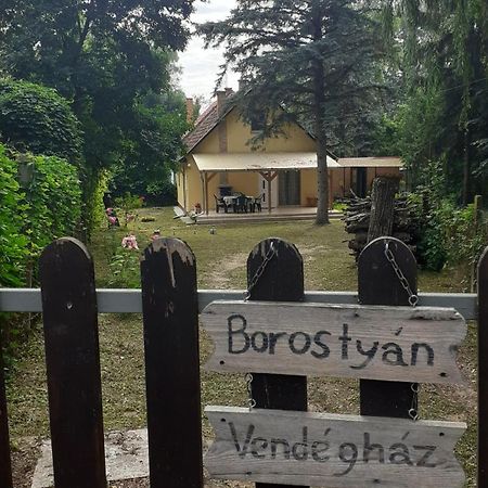 Borostyán Vendégház Tiszaug Exterior foto