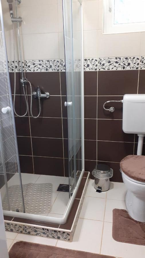Borostyán Vendégház Tiszaug Exterior foto