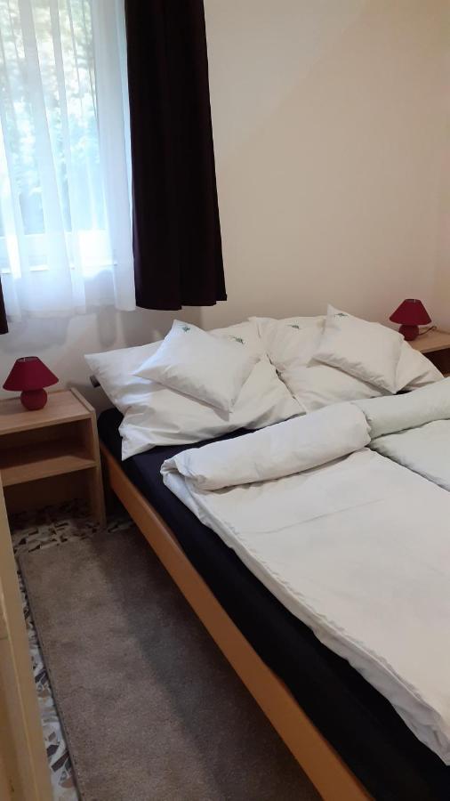 Borostyán Vendégház Tiszaug Exterior foto
