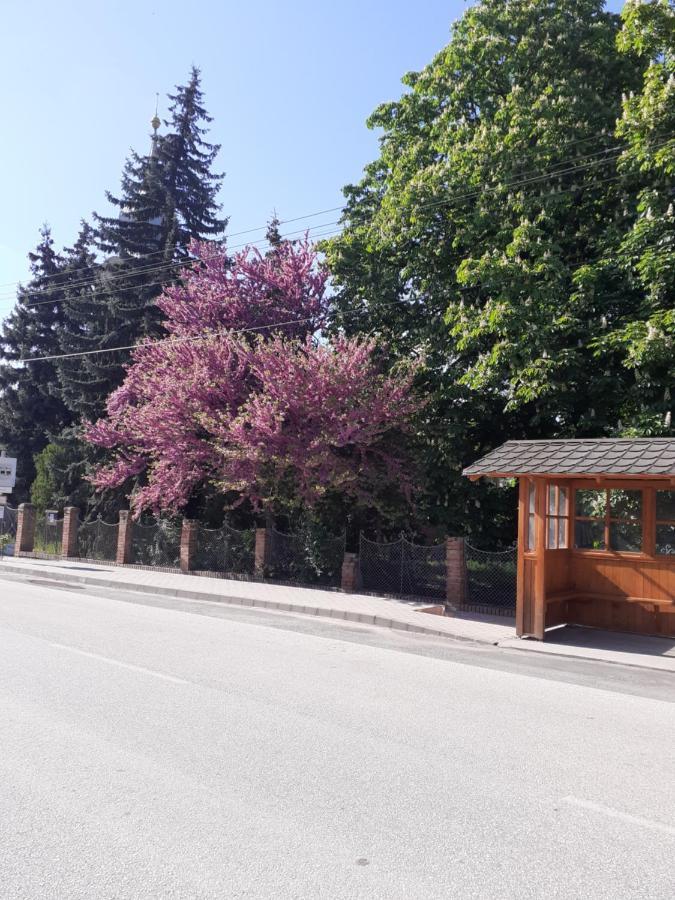 Borostyán Vendégház Tiszaug Exterior foto