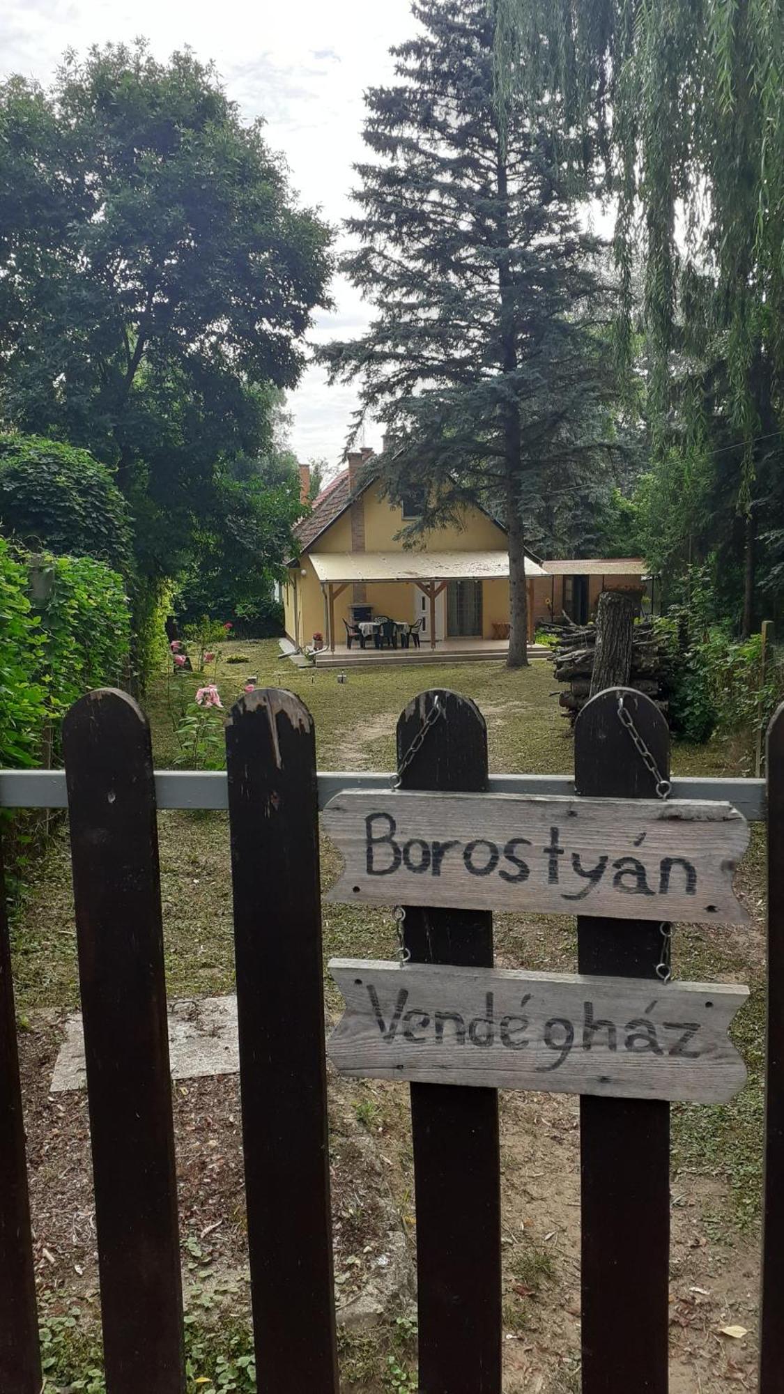 Borostyán Vendégház Tiszaug Exterior foto