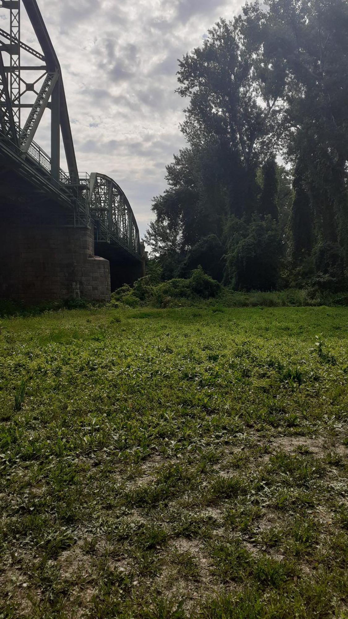 Borostyán Vendégház Tiszaug Exterior foto