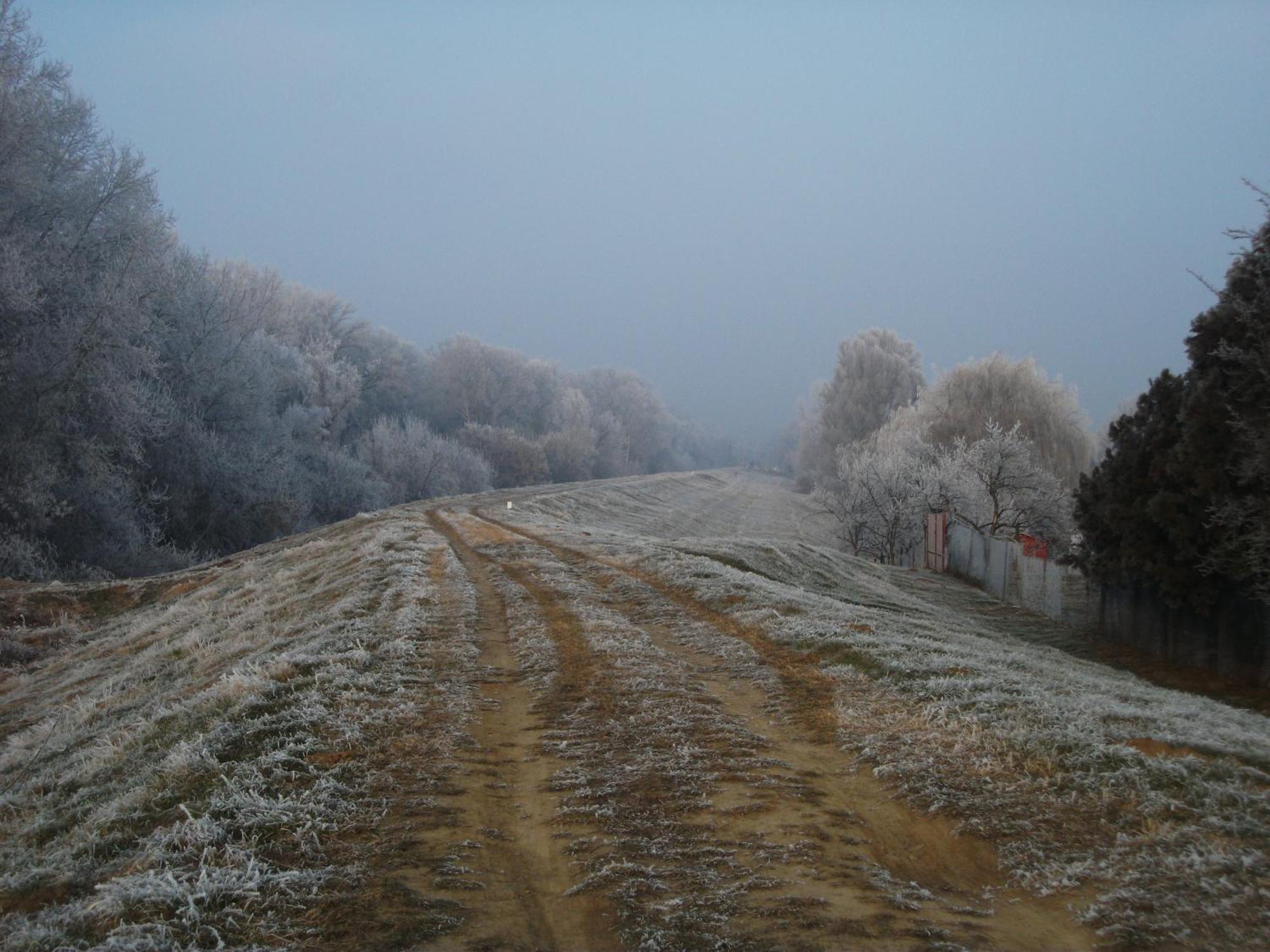 Borostyán Vendégház Tiszaug Exterior foto